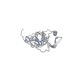 42439_8uox_CK_v1-0
Cryo-EM structure of a Counterclockwise locked form of the Salmonella enterica Typhimurium flagellar C-ring, with C34 symmetry applied