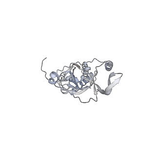 42439_8uox_CK_v1-1
Cryo-EM structure of a Counterclockwise locked form of the Salmonella enterica Typhimurium flagellar C-ring, with C34 symmetry applied