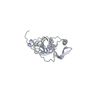 42439_8uox_CL_v1-0
Cryo-EM structure of a Counterclockwise locked form of the Salmonella enterica Typhimurium flagellar C-ring, with C34 symmetry applied