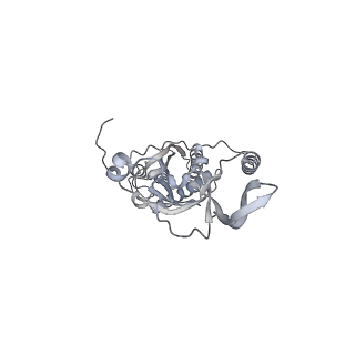 42439_8uox_CL_v1-1
Cryo-EM structure of a Counterclockwise locked form of the Salmonella enterica Typhimurium flagellar C-ring, with C34 symmetry applied