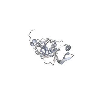 42439_8uox_CM_v1-0
Cryo-EM structure of a Counterclockwise locked form of the Salmonella enterica Typhimurium flagellar C-ring, with C34 symmetry applied