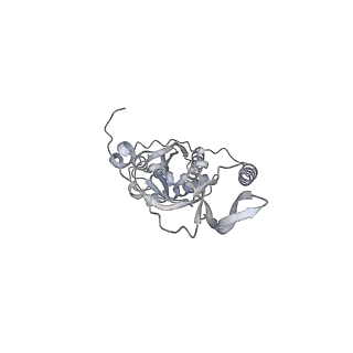 42439_8uox_CM_v1-1
Cryo-EM structure of a Counterclockwise locked form of the Salmonella enterica Typhimurium flagellar C-ring, with C34 symmetry applied