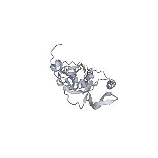 42439_8uox_CN_v1-0
Cryo-EM structure of a Counterclockwise locked form of the Salmonella enterica Typhimurium flagellar C-ring, with C34 symmetry applied