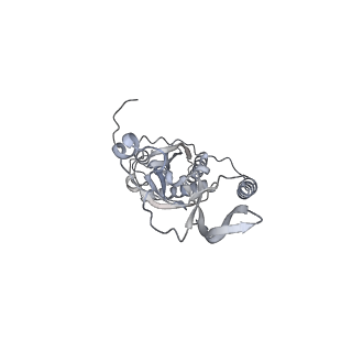 42439_8uox_CN_v1-1
Cryo-EM structure of a Counterclockwise locked form of the Salmonella enterica Typhimurium flagellar C-ring, with C34 symmetry applied