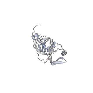42439_8uox_CO_v1-0
Cryo-EM structure of a Counterclockwise locked form of the Salmonella enterica Typhimurium flagellar C-ring, with C34 symmetry applied