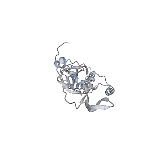 42439_8uox_CO_v1-1
Cryo-EM structure of a Counterclockwise locked form of the Salmonella enterica Typhimurium flagellar C-ring, with C34 symmetry applied