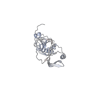 42439_8uox_CP_v1-0
Cryo-EM structure of a Counterclockwise locked form of the Salmonella enterica Typhimurium flagellar C-ring, with C34 symmetry applied