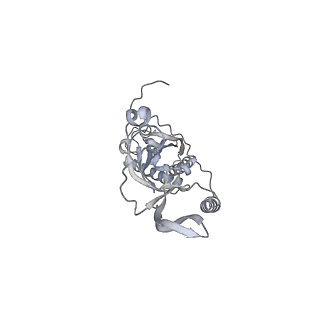 42439_8uox_CQ_v1-1
Cryo-EM structure of a Counterclockwise locked form of the Salmonella enterica Typhimurium flagellar C-ring, with C34 symmetry applied