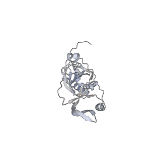 42439_8uox_CR_v1-0
Cryo-EM structure of a Counterclockwise locked form of the Salmonella enterica Typhimurium flagellar C-ring, with C34 symmetry applied