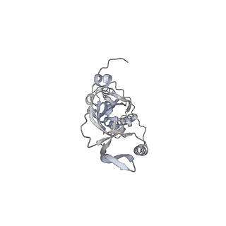 42439_8uox_CR_v1-1
Cryo-EM structure of a Counterclockwise locked form of the Salmonella enterica Typhimurium flagellar C-ring, with C34 symmetry applied