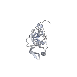 42439_8uox_CT_v1-1
Cryo-EM structure of a Counterclockwise locked form of the Salmonella enterica Typhimurium flagellar C-ring, with C34 symmetry applied