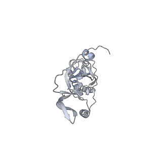 42439_8uox_CU_v1-0
Cryo-EM structure of a Counterclockwise locked form of the Salmonella enterica Typhimurium flagellar C-ring, with C34 symmetry applied