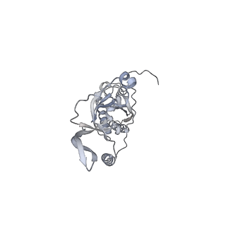 42439_8uox_CV_v1-0
Cryo-EM structure of a Counterclockwise locked form of the Salmonella enterica Typhimurium flagellar C-ring, with C34 symmetry applied