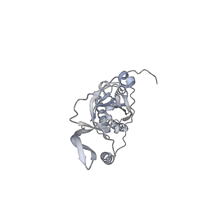 42439_8uox_CV_v1-1
Cryo-EM structure of a Counterclockwise locked form of the Salmonella enterica Typhimurium flagellar C-ring, with C34 symmetry applied