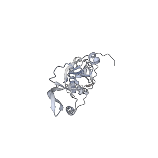 42439_8uox_CW_v1-1
Cryo-EM structure of a Counterclockwise locked form of the Salmonella enterica Typhimurium flagellar C-ring, with C34 symmetry applied