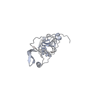 42439_8uox_CX_v1-0
Cryo-EM structure of a Counterclockwise locked form of the Salmonella enterica Typhimurium flagellar C-ring, with C34 symmetry applied