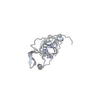 42439_8uox_CX_v1-1
Cryo-EM structure of a Counterclockwise locked form of the Salmonella enterica Typhimurium flagellar C-ring, with C34 symmetry applied