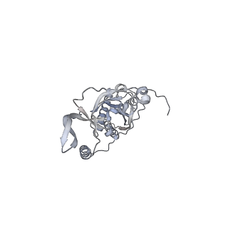 42439_8uox_CY_v1-0
Cryo-EM structure of a Counterclockwise locked form of the Salmonella enterica Typhimurium flagellar C-ring, with C34 symmetry applied