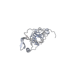 42439_8uox_CY_v1-1
Cryo-EM structure of a Counterclockwise locked form of the Salmonella enterica Typhimurium flagellar C-ring, with C34 symmetry applied