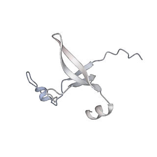 42439_8uox_D1_v1-1
Cryo-EM structure of a Counterclockwise locked form of the Salmonella enterica Typhimurium flagellar C-ring, with C34 symmetry applied