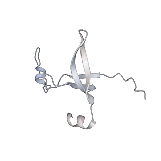 42439_8uox_D4_v1-1
Cryo-EM structure of a Counterclockwise locked form of the Salmonella enterica Typhimurium flagellar C-ring, with C34 symmetry applied