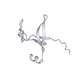 42439_8uox_D5_v1-1
Cryo-EM structure of a Counterclockwise locked form of the Salmonella enterica Typhimurium flagellar C-ring, with C34 symmetry applied