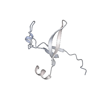 42439_8uox_D6_v1-1
Cryo-EM structure of a Counterclockwise locked form of the Salmonella enterica Typhimurium flagellar C-ring, with C34 symmetry applied