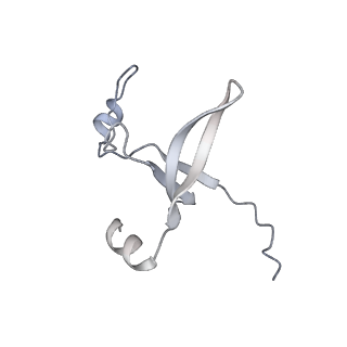42439_8uox_D7_v1-0
Cryo-EM structure of a Counterclockwise locked form of the Salmonella enterica Typhimurium flagellar C-ring, with C34 symmetry applied
