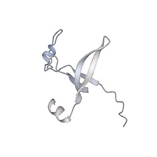 42439_8uox_D7_v1-1
Cryo-EM structure of a Counterclockwise locked form of the Salmonella enterica Typhimurium flagellar C-ring, with C34 symmetry applied