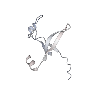 42439_8uox_D8_v1-1
Cryo-EM structure of a Counterclockwise locked form of the Salmonella enterica Typhimurium flagellar C-ring, with C34 symmetry applied