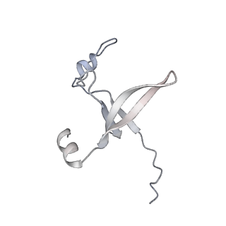 42439_8uox_D9_v1-1
Cryo-EM structure of a Counterclockwise locked form of the Salmonella enterica Typhimurium flagellar C-ring, with C34 symmetry applied