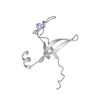 42439_8uox_DA_v1-1
Cryo-EM structure of a Counterclockwise locked form of the Salmonella enterica Typhimurium flagellar C-ring, with C34 symmetry applied