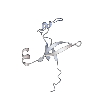 42439_8uox_DB_v1-1
Cryo-EM structure of a Counterclockwise locked form of the Salmonella enterica Typhimurium flagellar C-ring, with C34 symmetry applied