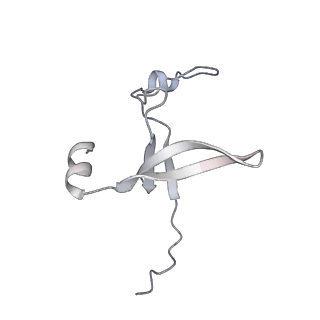 42439_8uox_DC_v1-1
Cryo-EM structure of a Counterclockwise locked form of the Salmonella enterica Typhimurium flagellar C-ring, with C34 symmetry applied