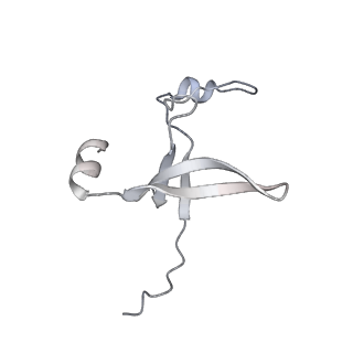 42439_8uox_DD_v1-1
Cryo-EM structure of a Counterclockwise locked form of the Salmonella enterica Typhimurium flagellar C-ring, with C34 symmetry applied