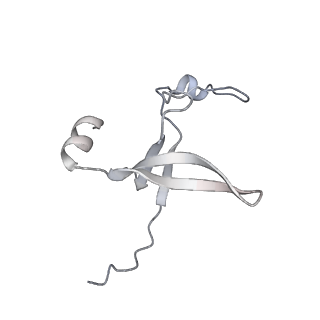 42439_8uox_DE_v1-1
Cryo-EM structure of a Counterclockwise locked form of the Salmonella enterica Typhimurium flagellar C-ring, with C34 symmetry applied