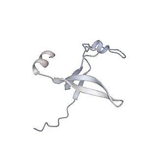 42439_8uox_DF_v1-1
Cryo-EM structure of a Counterclockwise locked form of the Salmonella enterica Typhimurium flagellar C-ring, with C34 symmetry applied