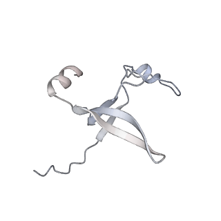 42439_8uox_DG_v1-1
Cryo-EM structure of a Counterclockwise locked form of the Salmonella enterica Typhimurium flagellar C-ring, with C34 symmetry applied