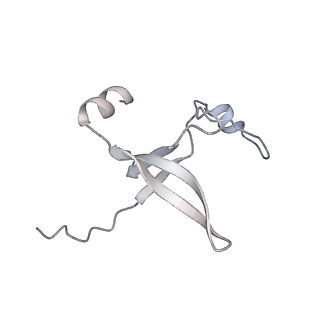 42439_8uox_DH_v1-1
Cryo-EM structure of a Counterclockwise locked form of the Salmonella enterica Typhimurium flagellar C-ring, with C34 symmetry applied