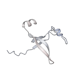 42439_8uox_DI_v1-1
Cryo-EM structure of a Counterclockwise locked form of the Salmonella enterica Typhimurium flagellar C-ring, with C34 symmetry applied