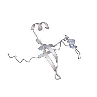 42439_8uox_DJ_v1-1
Cryo-EM structure of a Counterclockwise locked form of the Salmonella enterica Typhimurium flagellar C-ring, with C34 symmetry applied