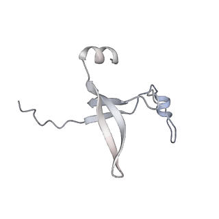 42439_8uox_DK_v1-1
Cryo-EM structure of a Counterclockwise locked form of the Salmonella enterica Typhimurium flagellar C-ring, with C34 symmetry applied