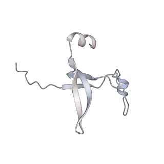 42439_8uox_DL_v1-1
Cryo-EM structure of a Counterclockwise locked form of the Salmonella enterica Typhimurium flagellar C-ring, with C34 symmetry applied