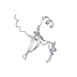 42439_8uox_DO_v1-1
Cryo-EM structure of a Counterclockwise locked form of the Salmonella enterica Typhimurium flagellar C-ring, with C34 symmetry applied