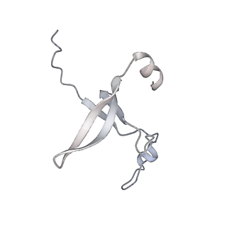 42439_8uox_DP_v1-1
Cryo-EM structure of a Counterclockwise locked form of the Salmonella enterica Typhimurium flagellar C-ring, with C34 symmetry applied