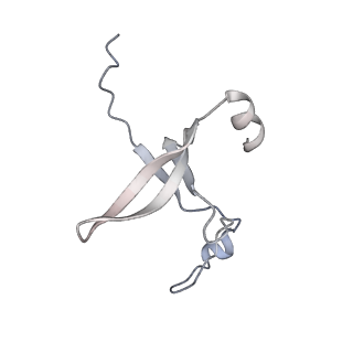 42439_8uox_DQ_v1-1
Cryo-EM structure of a Counterclockwise locked form of the Salmonella enterica Typhimurium flagellar C-ring, with C34 symmetry applied