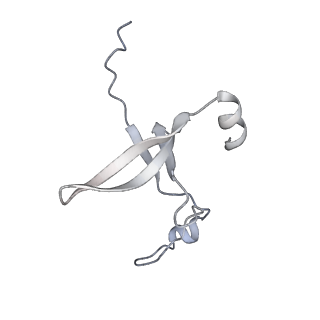 42439_8uox_DR_v1-1
Cryo-EM structure of a Counterclockwise locked form of the Salmonella enterica Typhimurium flagellar C-ring, with C34 symmetry applied