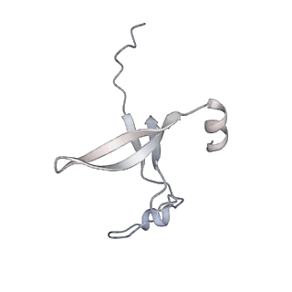 42439_8uox_DS_v1-1
Cryo-EM structure of a Counterclockwise locked form of the Salmonella enterica Typhimurium flagellar C-ring, with C34 symmetry applied