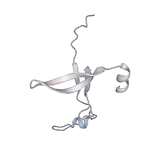 42439_8uox_DT_v1-1
Cryo-EM structure of a Counterclockwise locked form of the Salmonella enterica Typhimurium flagellar C-ring, with C34 symmetry applied