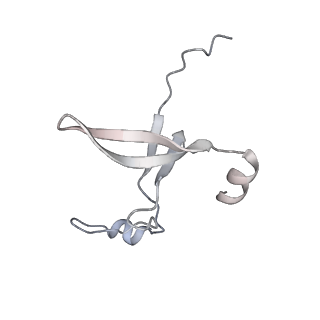 42439_8uox_DV_v1-1
Cryo-EM structure of a Counterclockwise locked form of the Salmonella enterica Typhimurium flagellar C-ring, with C34 symmetry applied